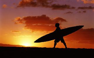 Surf
