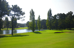 Herdade da Aroeira